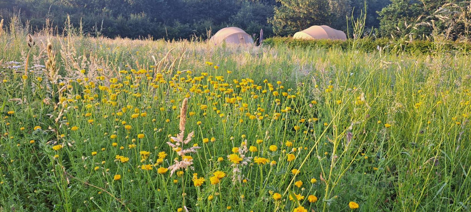 Ecochique Hotell Westouter Eksteriør bilde